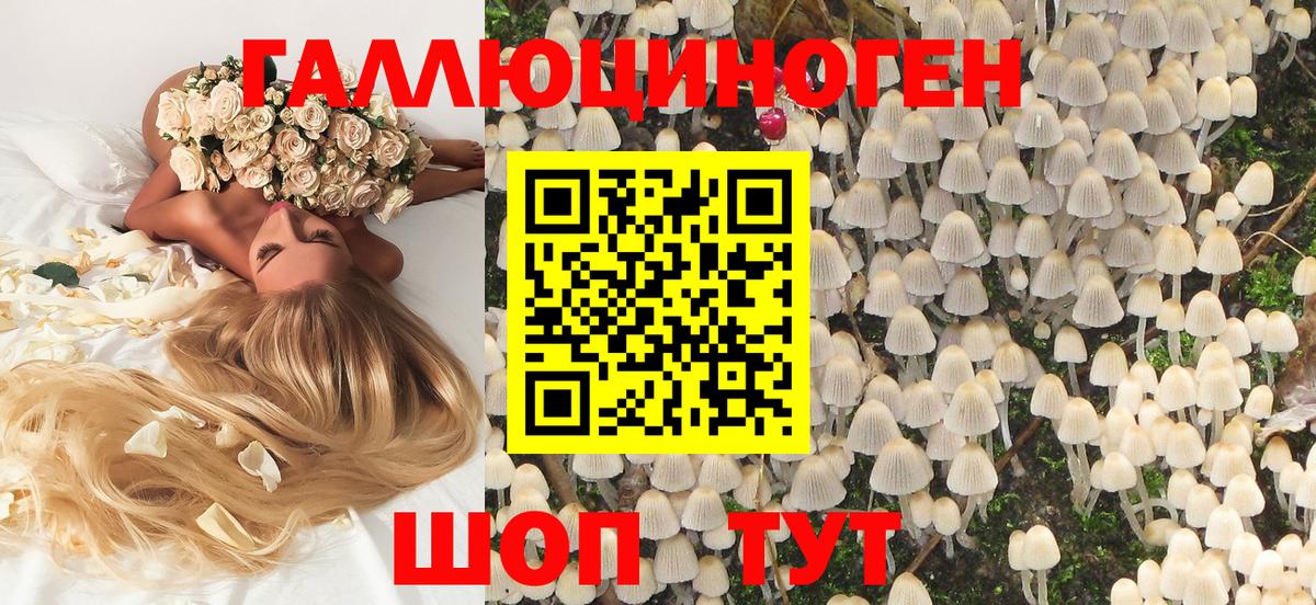 Галлюциногенные грибы мицелий Алексин
